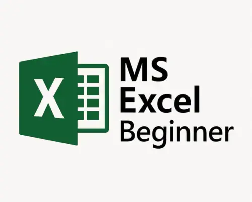 MS Excel Beginner